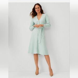 Ann Taylor Pearlized Button Down Sweater Dress